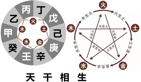 东方甲乙木|「四柱八字」十天干的五行属性和阴阳属性